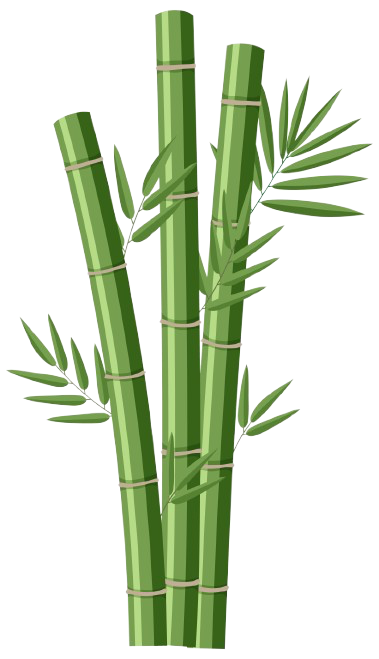 caña de azúcar más tolerante