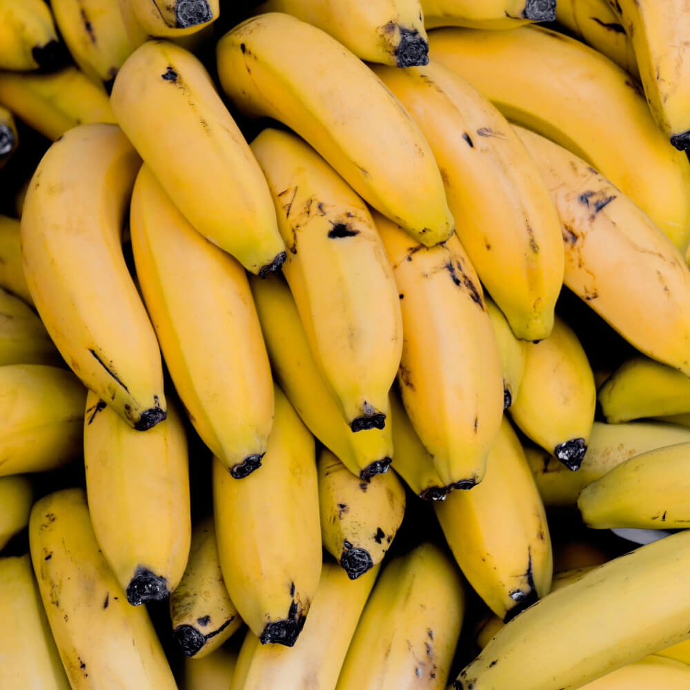 banano GM