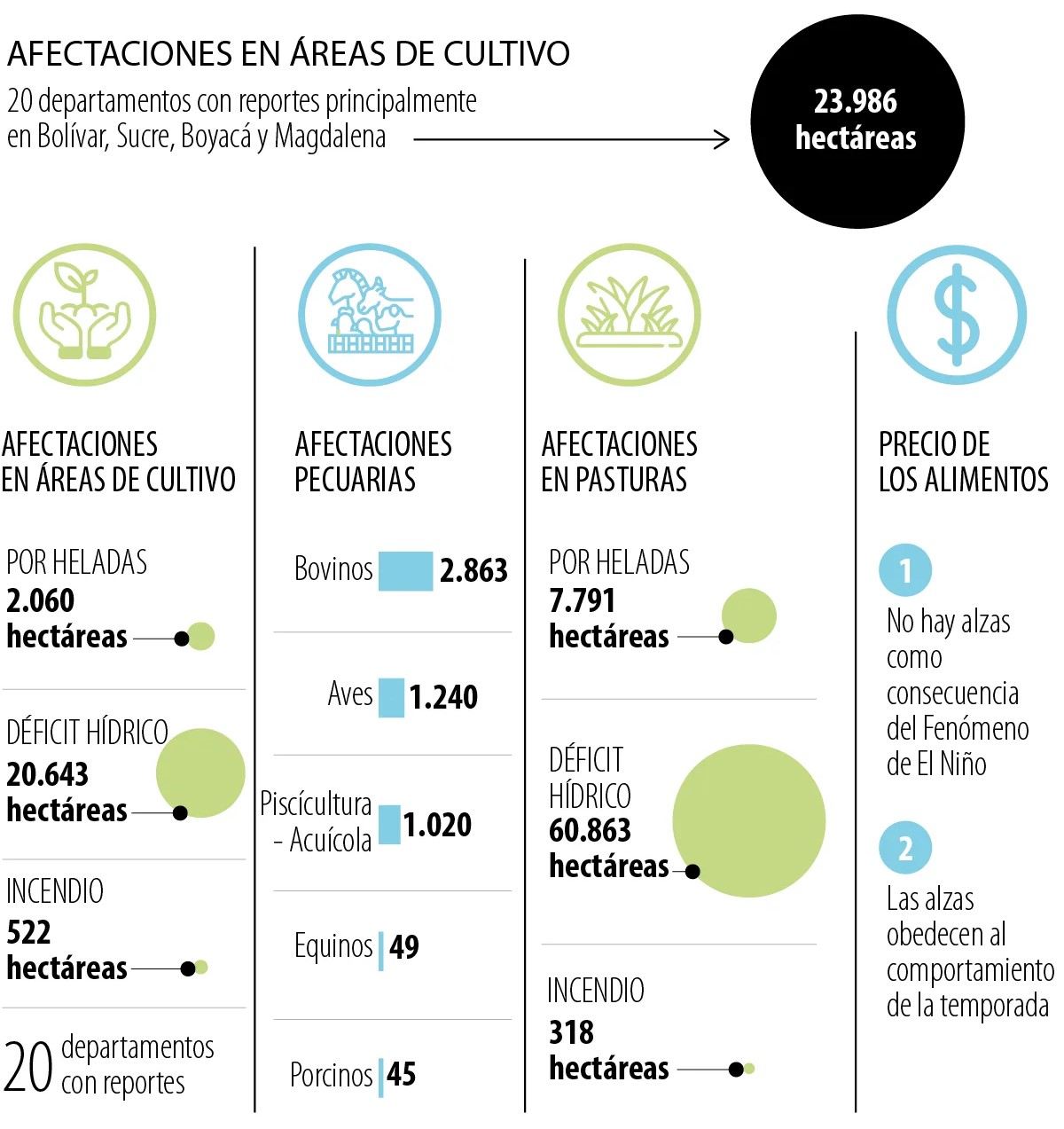 Cifras de cultivos perdidos por fenómeno del niño