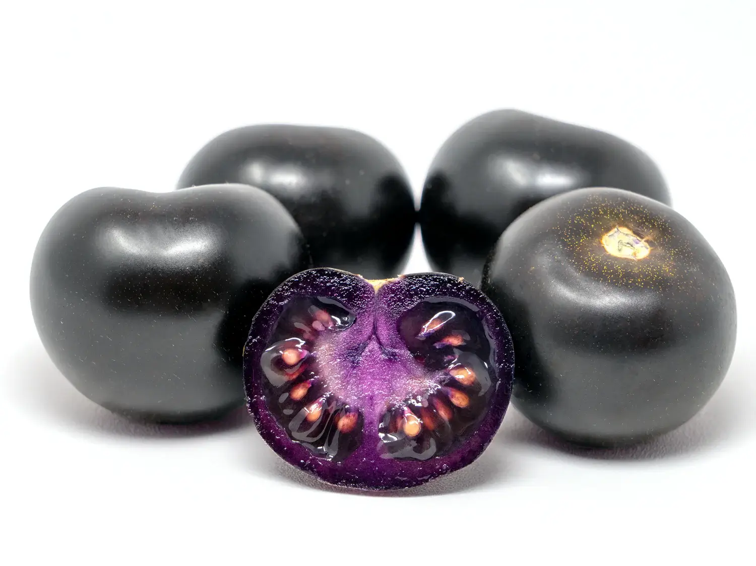 tomate geneticamente modificado