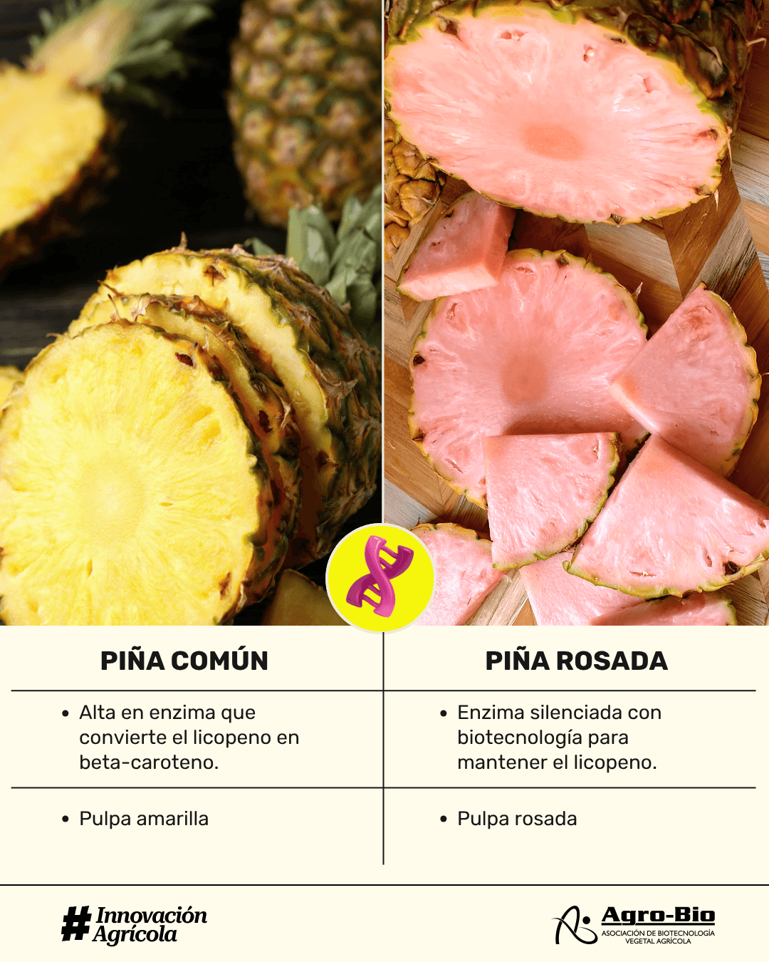 ejemplos de alimentos modificados genéticamente