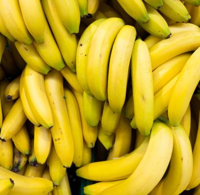 Banano cavendish