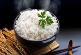 arroz editado, agro-bio