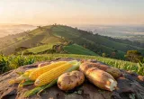 cultivos biotecnológicos en Ruanda