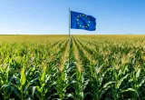 edición genética en Europa para la agricultura