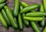 Pepino tolerante al encharcamiento
