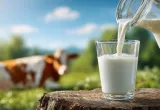 Proteína de leche