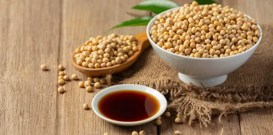 Argentina aprueba nueva soya transgénica resistente a insectos y herbicidas