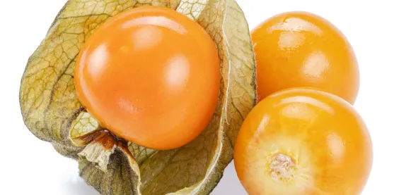 Uchuva editada genéticamente: una oportunidad comercial