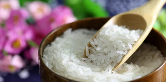 Arroz resistente a salinidad ofrece alternativa para enfrentar suelos degradados