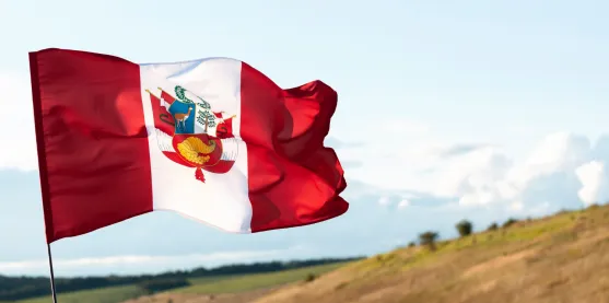 Cultivos editados en Perú: nueva regulación abre paso a la biotecnología