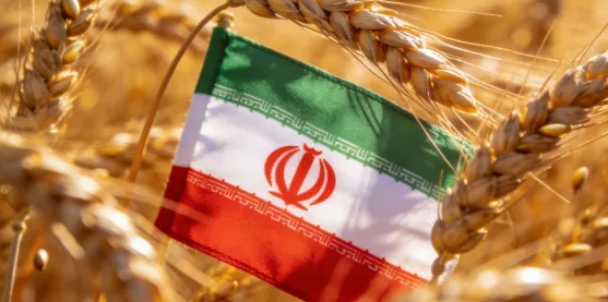 Cultivos transgénicos ahora tienen una creciente aceptación en Irán