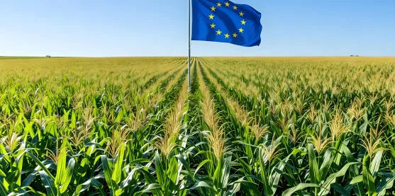 Hito histórico: Europa abre la puerta a la edición genética en agricultura