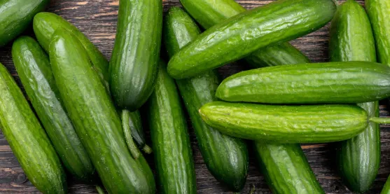 Un pepino que tolera el exceso de agua y sigue respirando
