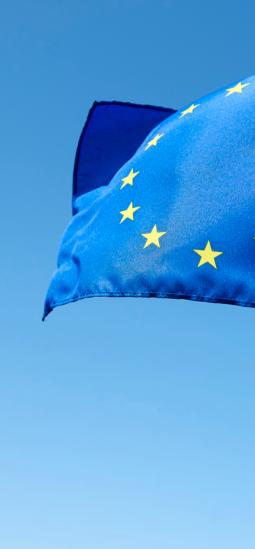 Nuevas técnicas genómicas: el acuerdo de la UE que puede impulsar la agricultura del futuro