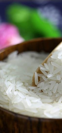 Arroz resistente a salinidad ofrece alternativa para enfrentar suelos degradados