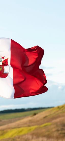 Cultivos editados en Perú: nueva regulación abre paso a la biotecnología