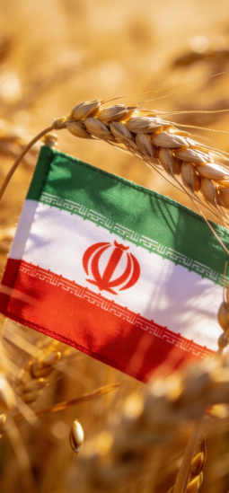 Cultivos transgénicos ahora tienen una creciente aceptación en Irán