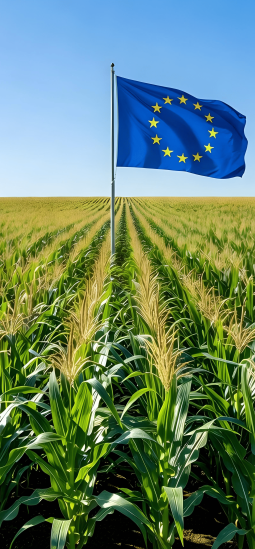 Hito histórico: Europa abre la puerta a la edición genética en agricultura