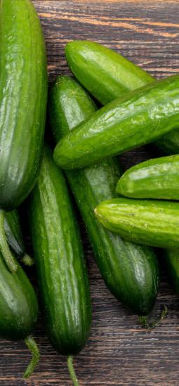 Un pepino que tolera el exceso de agua y sigue respirando
