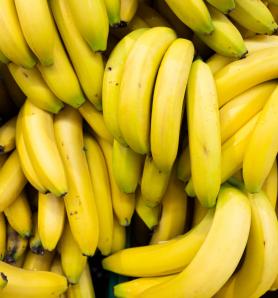 Estos bananos editados genéticamente podrían estar disponibles en Colombia