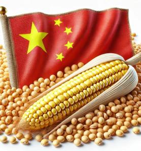 China aprobó 30 cultivos transgénicos de maíz y soya