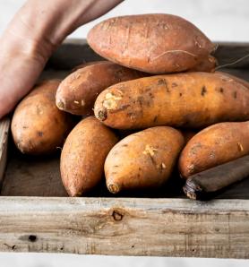 Descifran el ADN de la papa dulce: un logro histórico para la ciencia