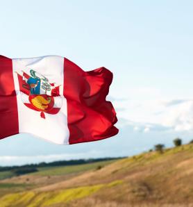 Cultivos editados en Perú: nueva regulación abre paso a la biotecnología