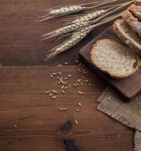 Trigo con más hierro mejorado con innovación agrícola