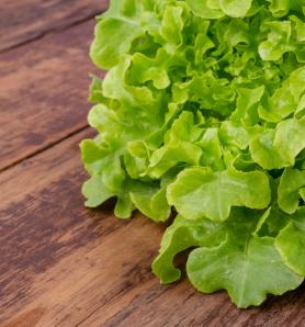 Carne vegetal podría mejorarse con una lechuga que produce más mioglobina
