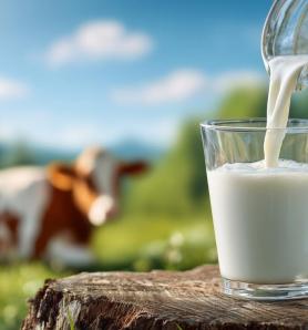 Proteína de leche podría crecer en semillas