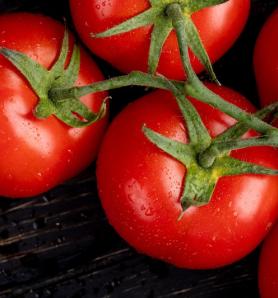 Un solo gen podría ayudar al tomate a tolerar la sequía y un virus de paso