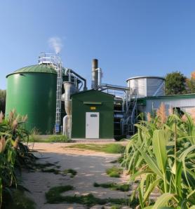 Argentina autoriza comercialmente una levadura genéticamente modificada para producir bioetanol de maíz