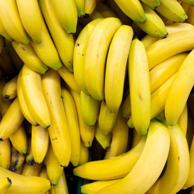 Banano cavendish