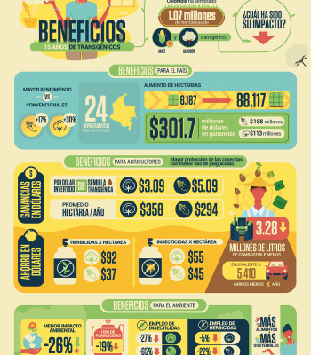 Infografia de cultivos GM en Colombia
