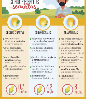 Infografia sobre conocimiento de semillas