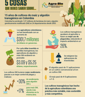 infografia 5 cosas que debes saber