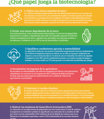 Infografia claves FAO