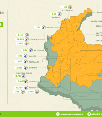 Mapa cultivos transgénicos en Colombia