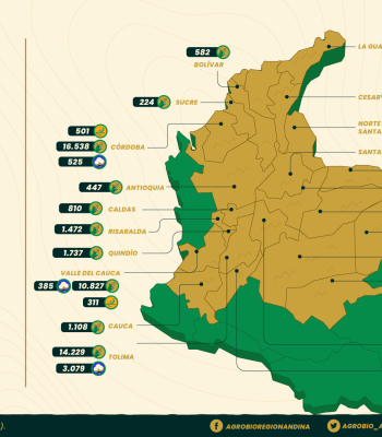 Mapa de transgénicos en colombia 2024