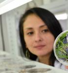Mujer cientifica analizando un cultivo