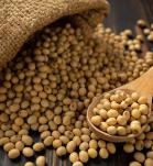 soya