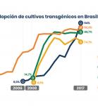 grafico