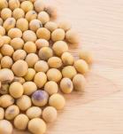 frutos