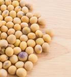 frutos