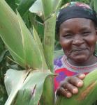 agricultora