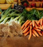 vegetales y frutas