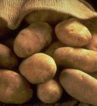 papas
