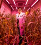 cientifica china