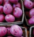 papas